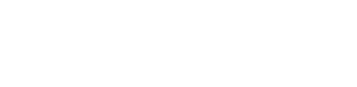 Perpi Ltd Consulting